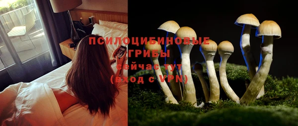 mix Абинск