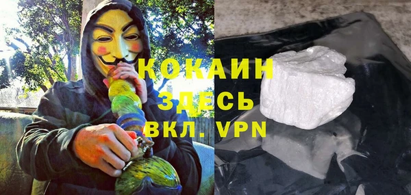 метадон Алексин
