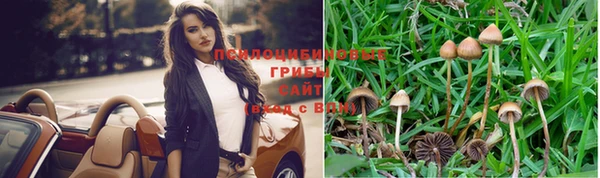 метадон Алексин